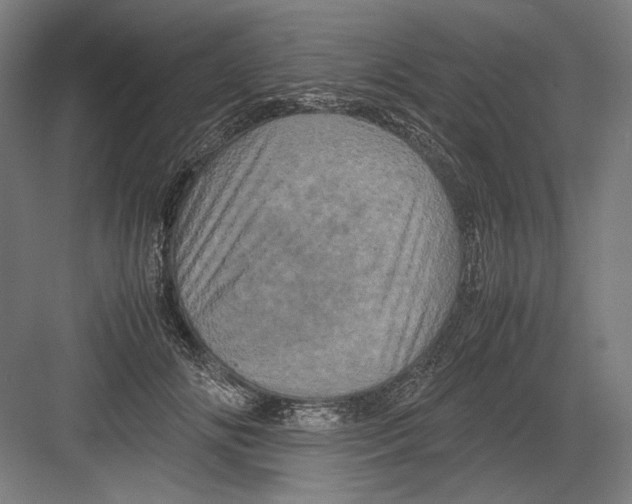 X0000082200702200702100001