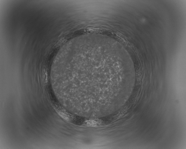 X0000082200703200702100001