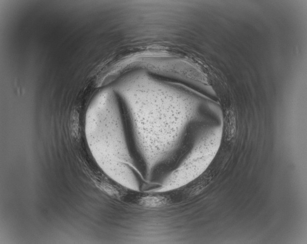 X0000082200704200702100001