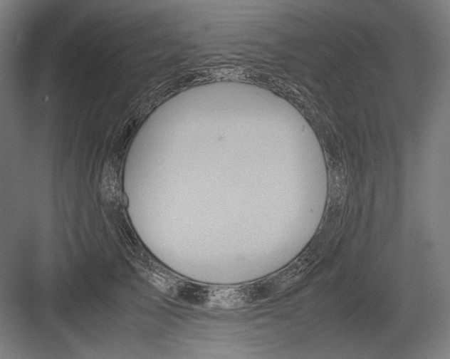 X0000082200705200702100001