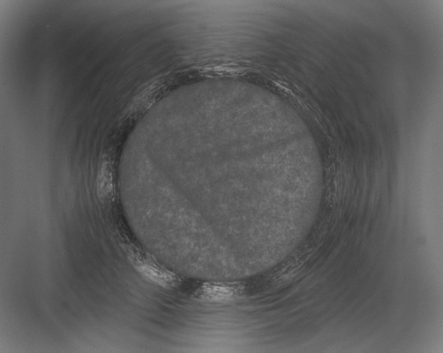 X0000082200706200702100001