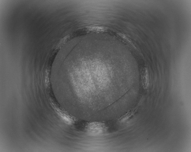 X0000082200708200702100001