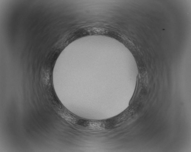 X0000082200709200702100001