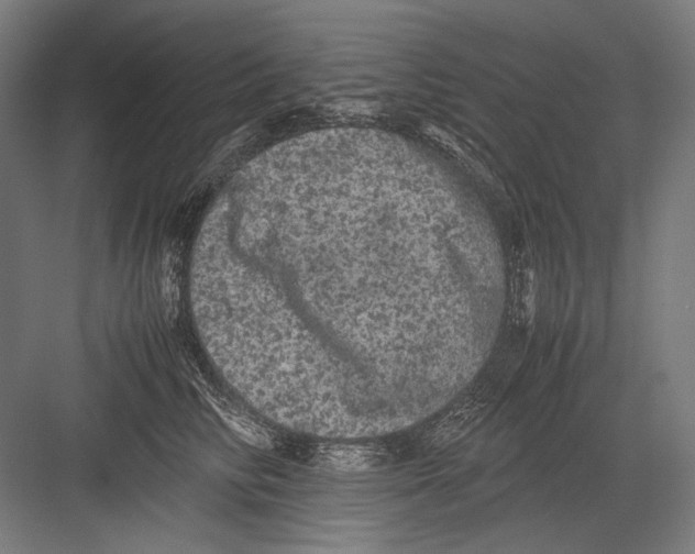 X0000082200710200702100001