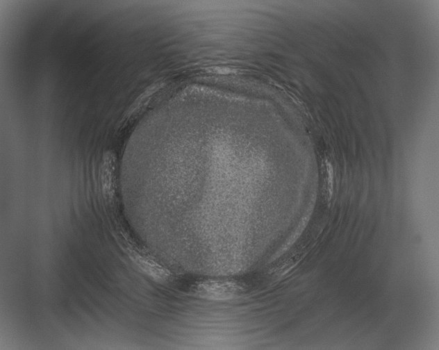 X0000082200712200702100001