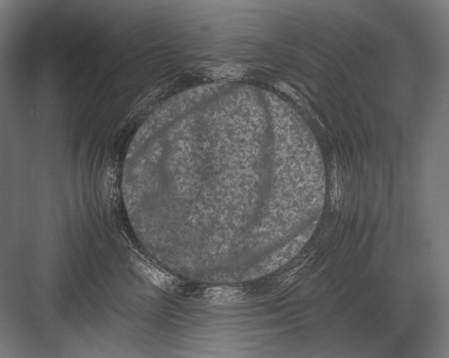 X0000082200714200702100001