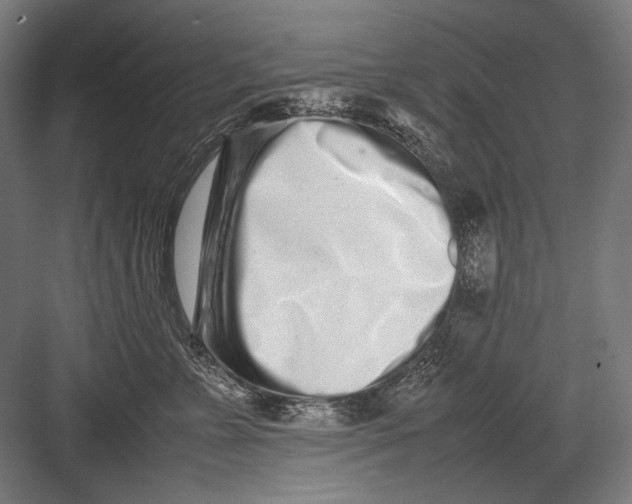 X0000082200715200702100001