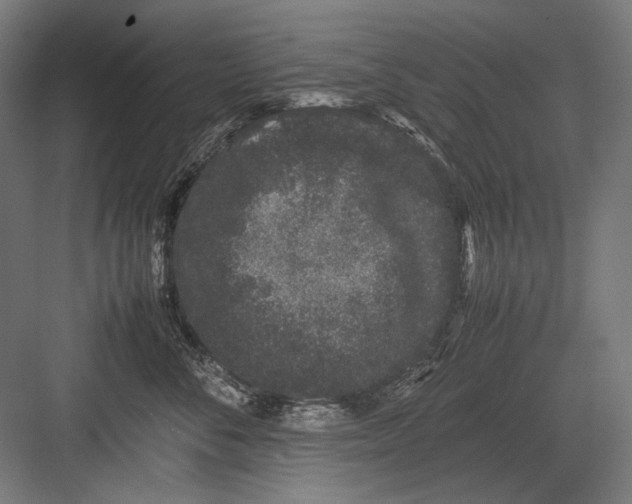 X0000082200716200702100001