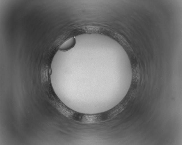 X0000082200717200702100001