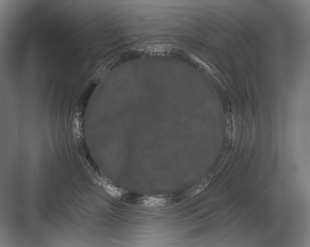 X0000082200718200702100001