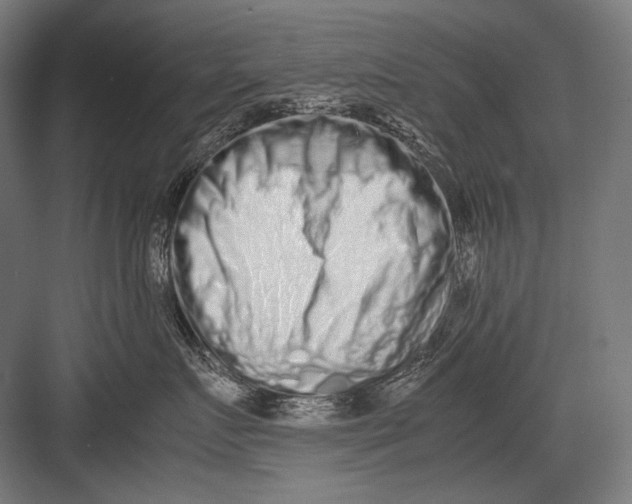 X0000082200719200702100001