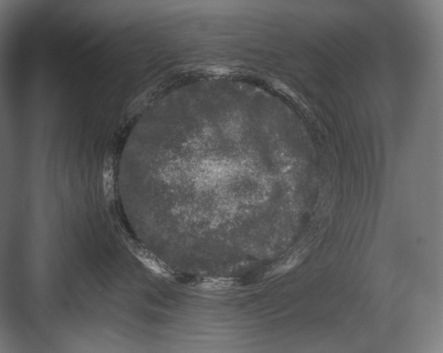 X0000082200720200702100001