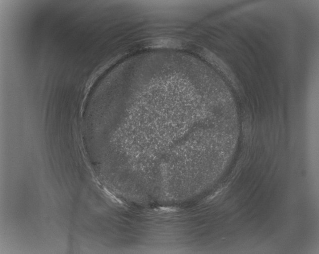 X0000082200721200702100000