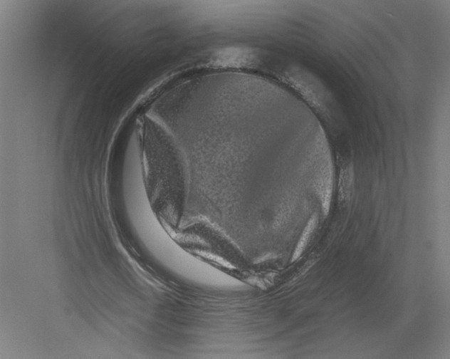 X0000082200722200702100000