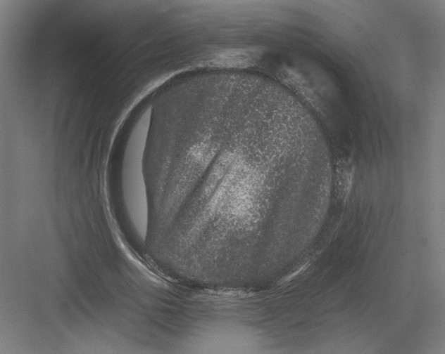 X0000082200726200702100000