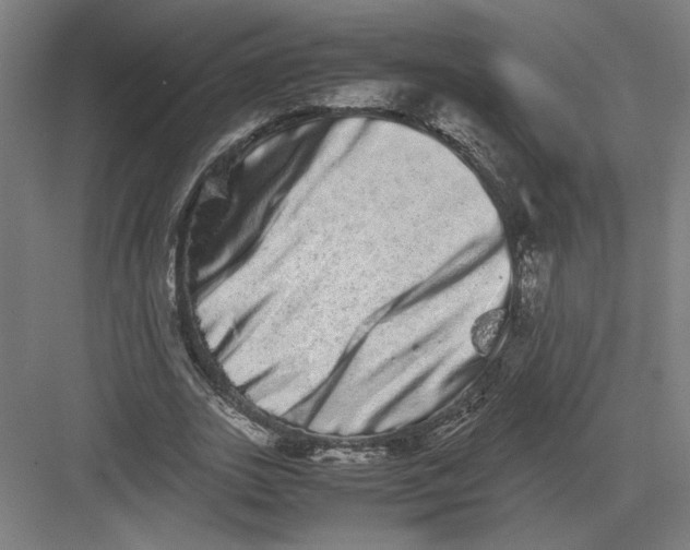 X0000082200727200702100000