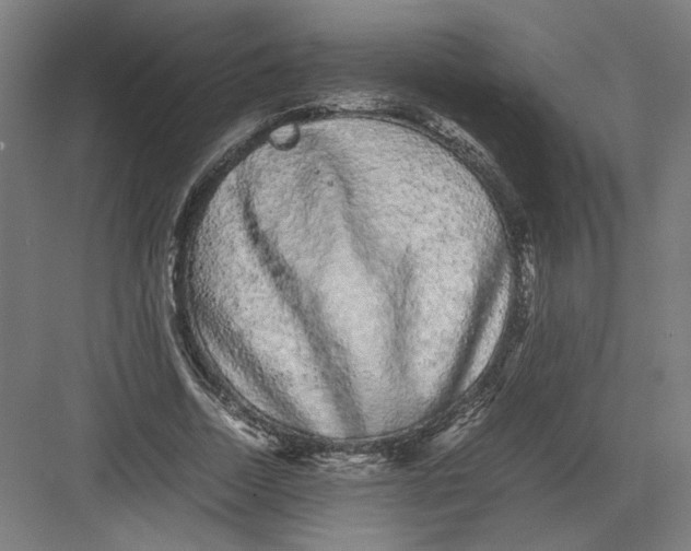 X0000082200730200702100000