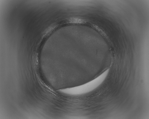 X0000082200731200702100000