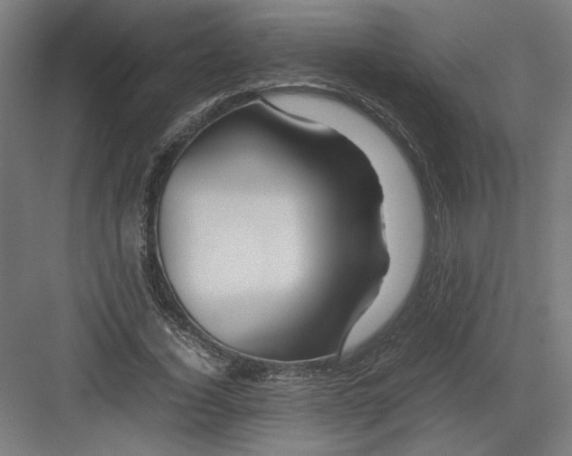 X0000082200732200702100000