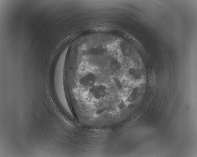 X0000082200733200702100000