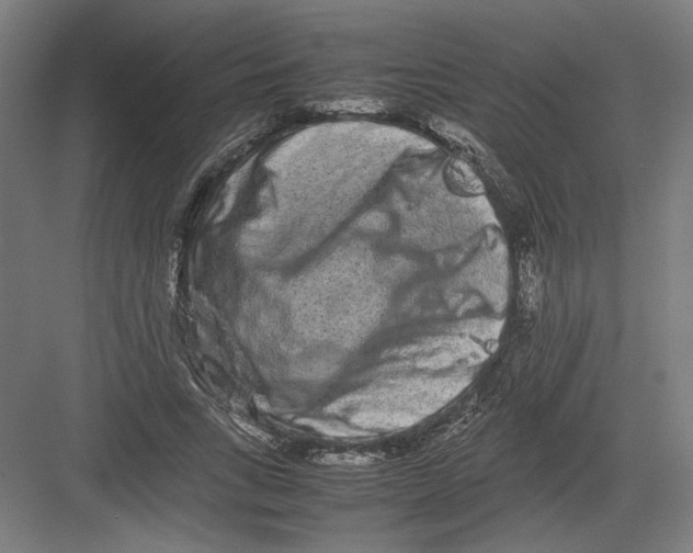 X0000082200735200702100000