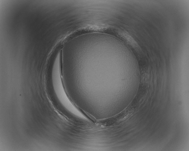 X0000082200736200702100000