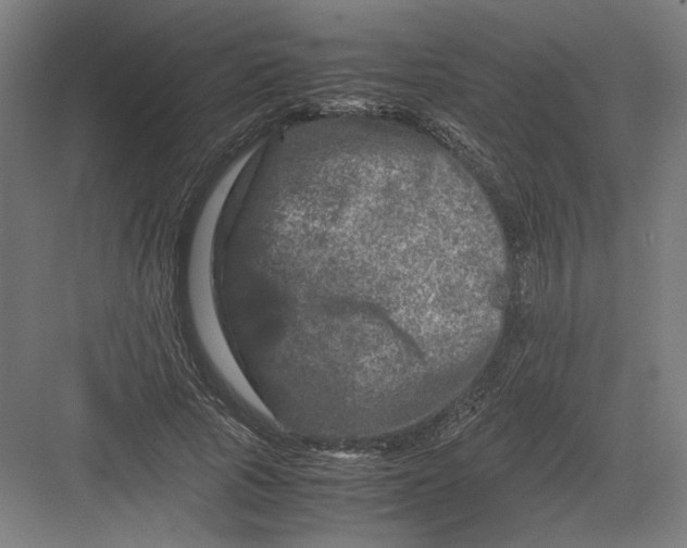 X0000082200737200702100000