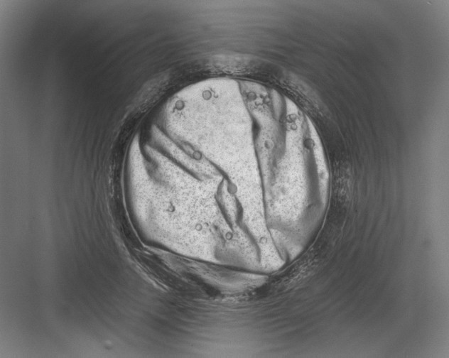 X0000082200738200702100000