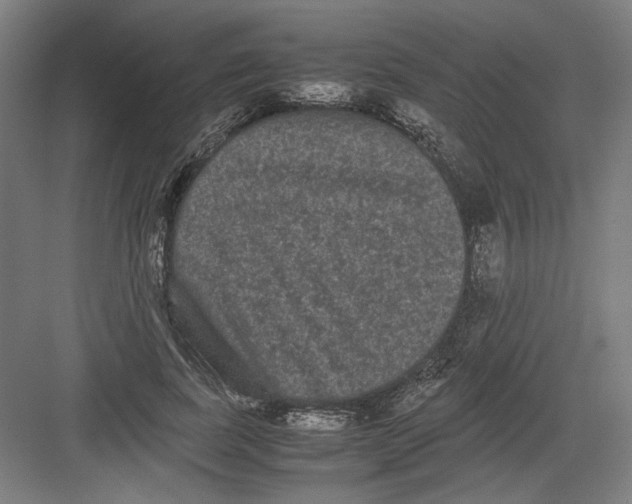 X0000082200739200702100000