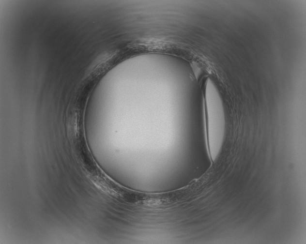 X0000082200740200702100000