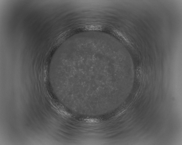 X0000082200741200702100000