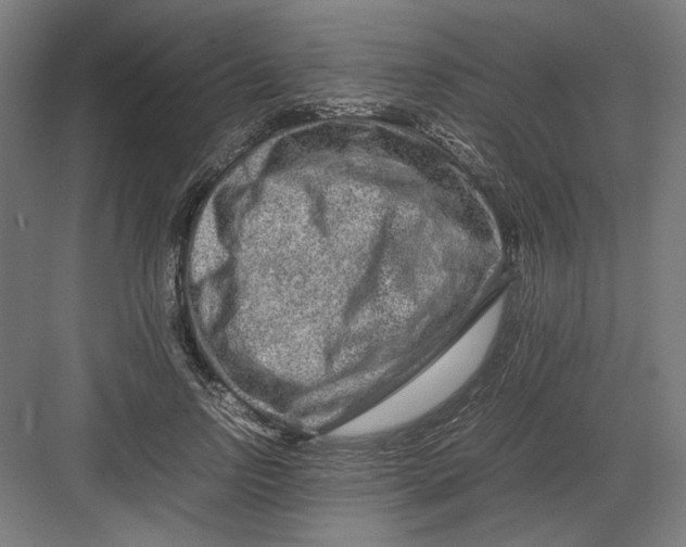 X0000082200742200702100000