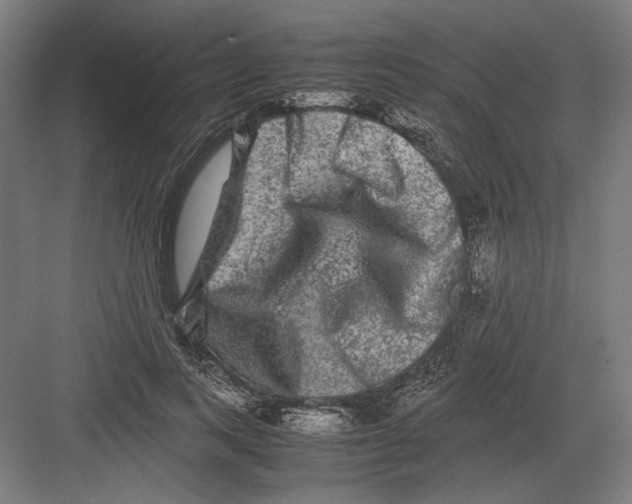 X0000082200743200702100000