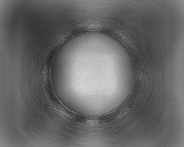 X0000082200744200702100000