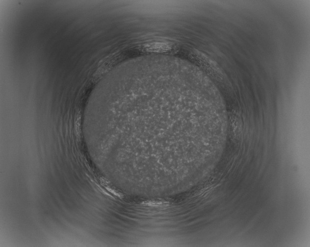 X0000082200745200702100000