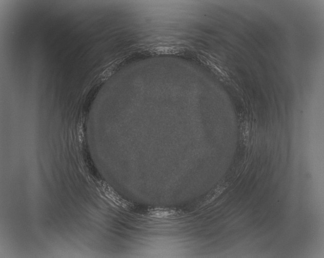 X0000082200746200702100000