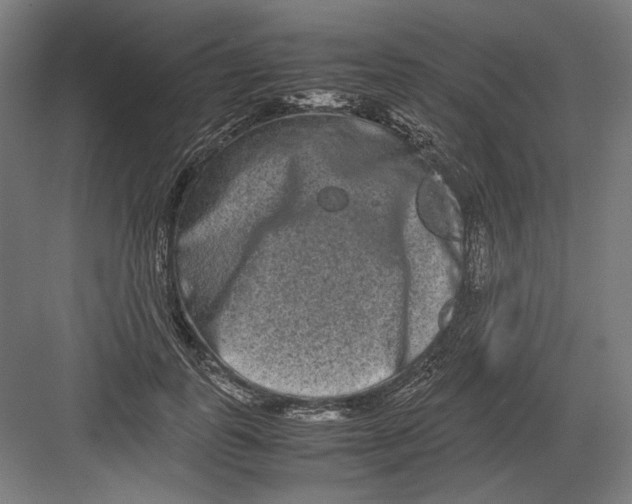 X0000082200747200702100000