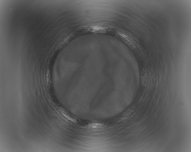 X0000082200748200702100000