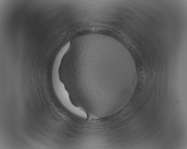 X0000082200750200702100001