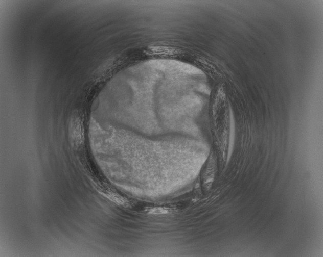 X0000082200751200702100001