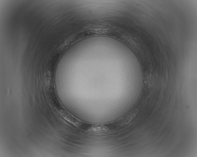 X0000082200752200702100001