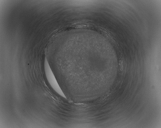 X0000082200753200702100001