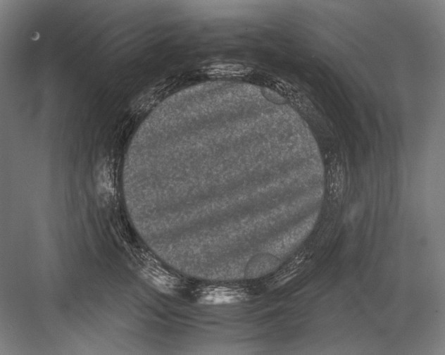 X0000082200755200702100001