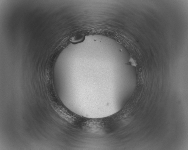 X0000082200756200702100001