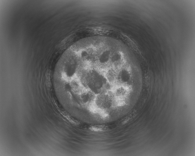 X0000082200757200702100001