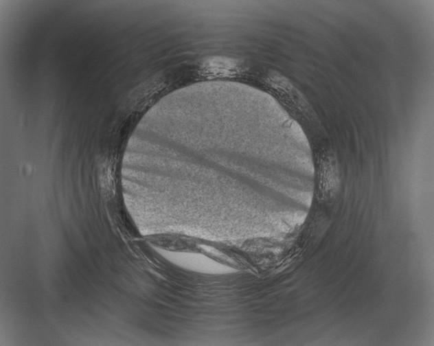 X0000082200759200702100001