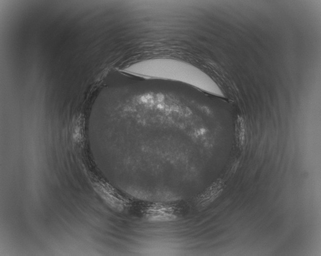 X0000082200760200702100001