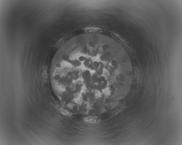 X0000082200761200702100001