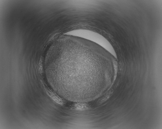 X0000082200762200702100001