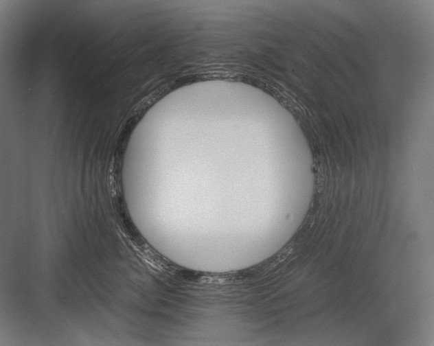 X0000082200764200702100001